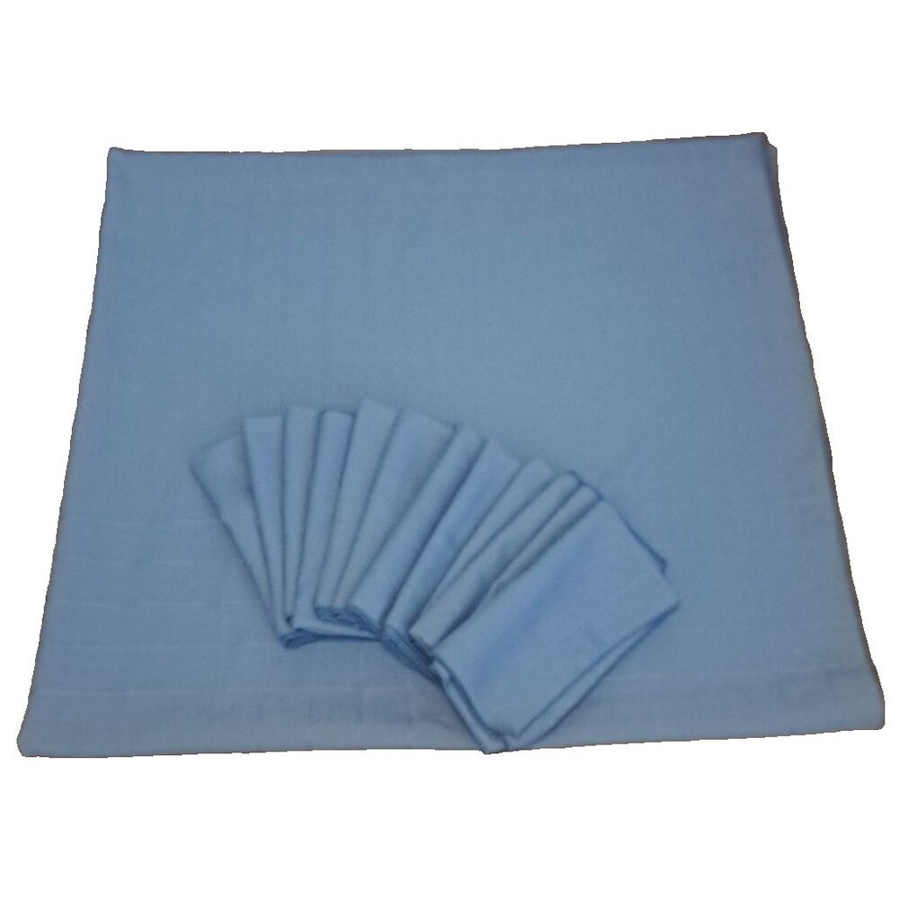Vintage Blue Tablecloth & 12 Napkins Set 60x107 Textured Checked Cottage Country